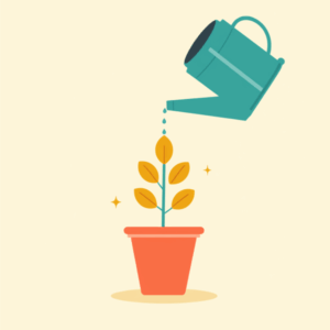 Flat illustration of a teal watering can pouring water onto a coral pot with a plant whose leaves are round mustard gold coins